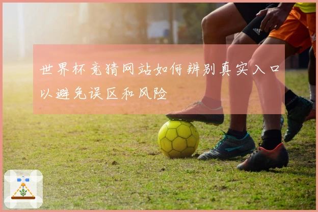 世界杯竞猜网站如何辨别真实入口以避免误区和风险